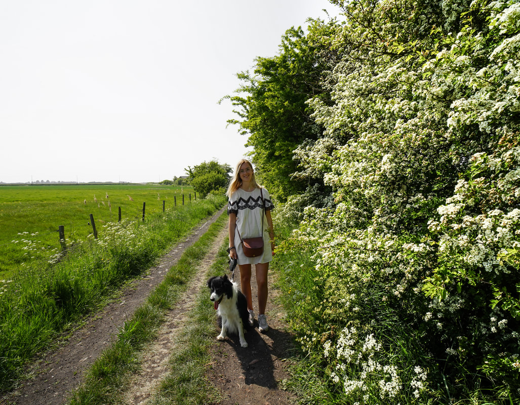 Beautiful girl with her dog in the middle of beautiful nature around Oostende. Foto van de kreekroute in Oostende. - traveltower